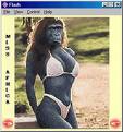  miss singe 2007