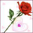 amour amitie et paix
